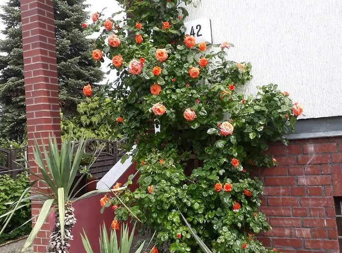 Lejlighed Ferienunterkunft In Berlin-pankow Rosenthal